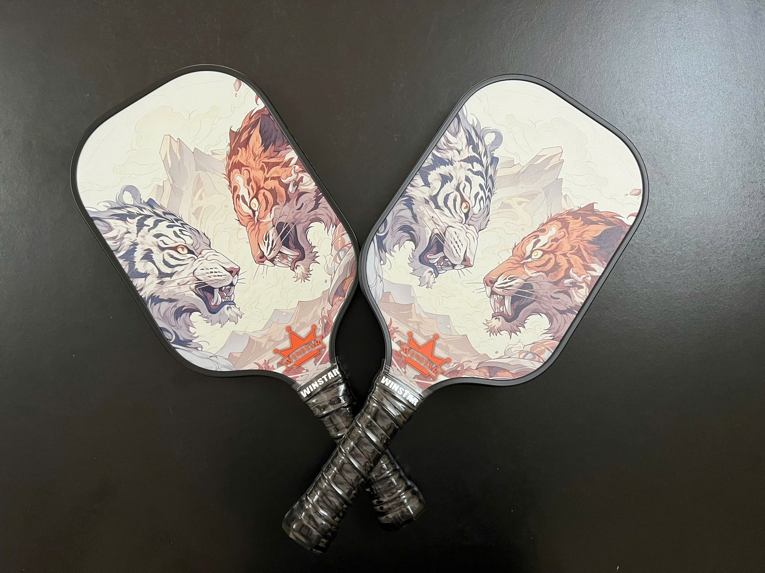 VỢT CẶP PICKLEBALL WINSTAR FIBER CARBON .